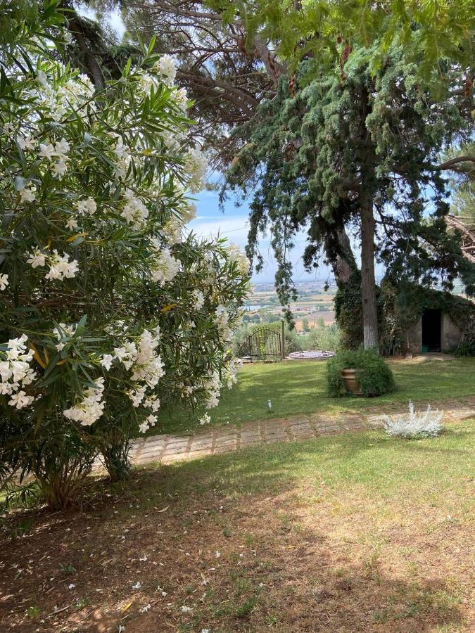 B&B Villa Il Poggetto Venturina Terme Exterior foto